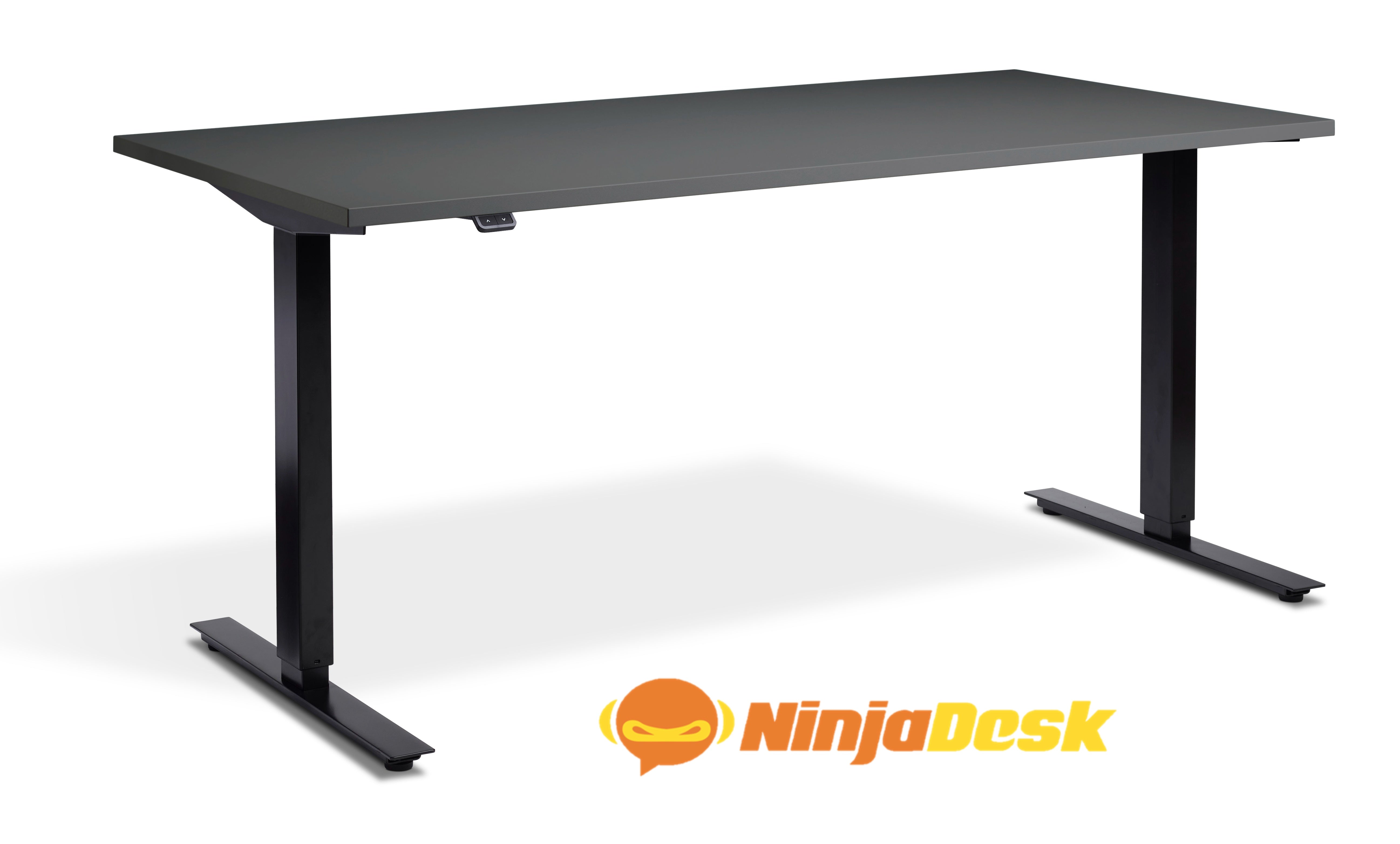 NINJA Championship - grey